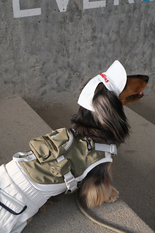 Reversible Embroidered Pet Hat