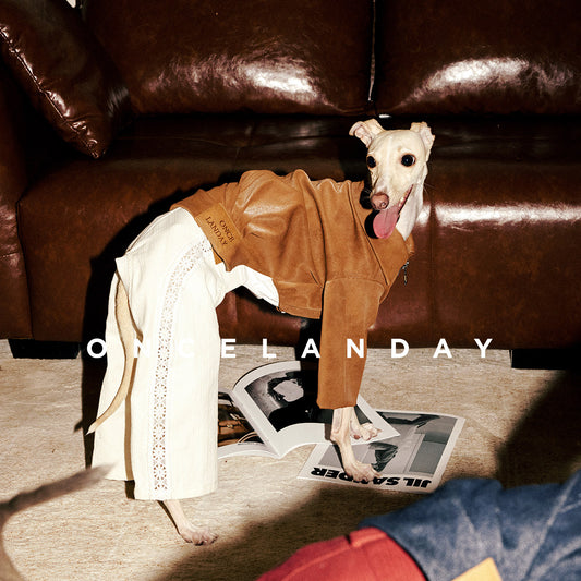 ONCELANDAY Fall Suede Denim Jacket for Whippets