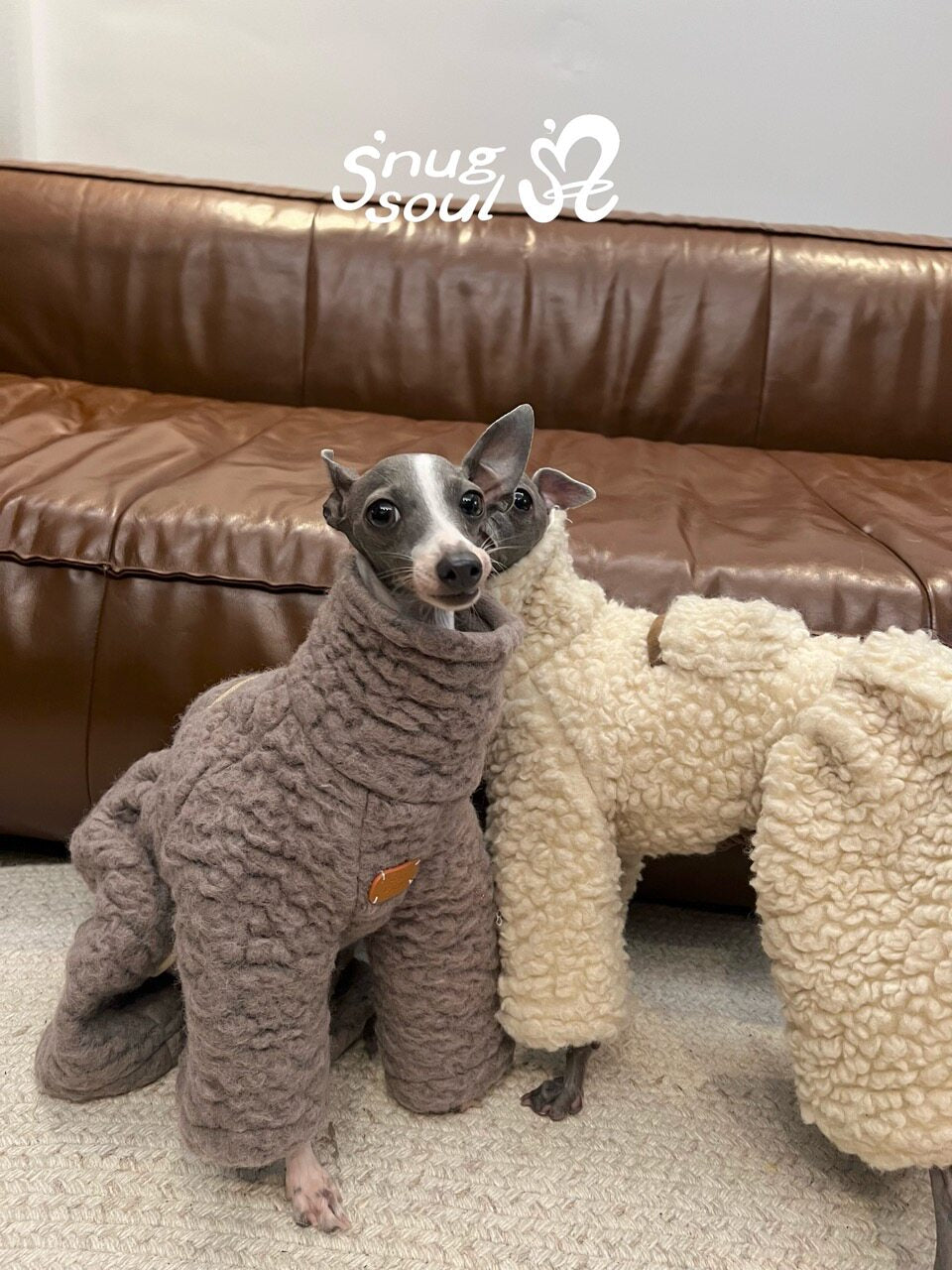Wool-Blend Four-Leg Dog Onesie for Italian Greyhounds