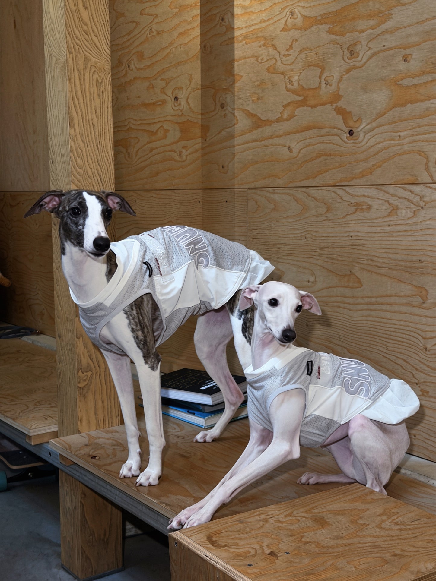 Jersey Dog Dress with Detachable Skirt