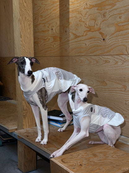 Jersey Dog Dress with Detachable Skirt