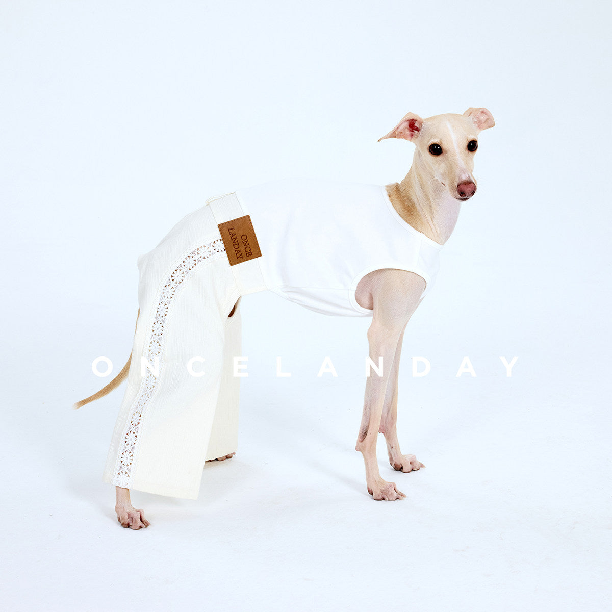 ONCELANDAY Fall Lace Patchwork Jumpsuit for Whippets