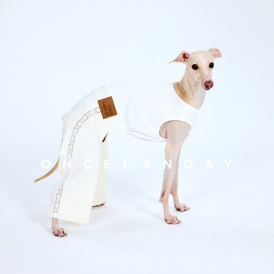 ONCELANDAY Fall Lace Patchwork Jumpsuit for Whippets