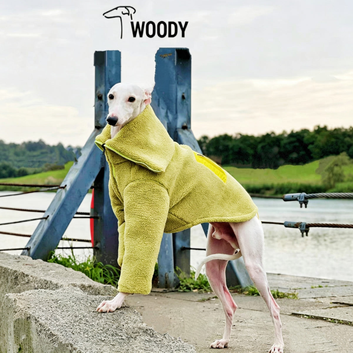 Reversible Sherpa Two-Leg Dog Coat