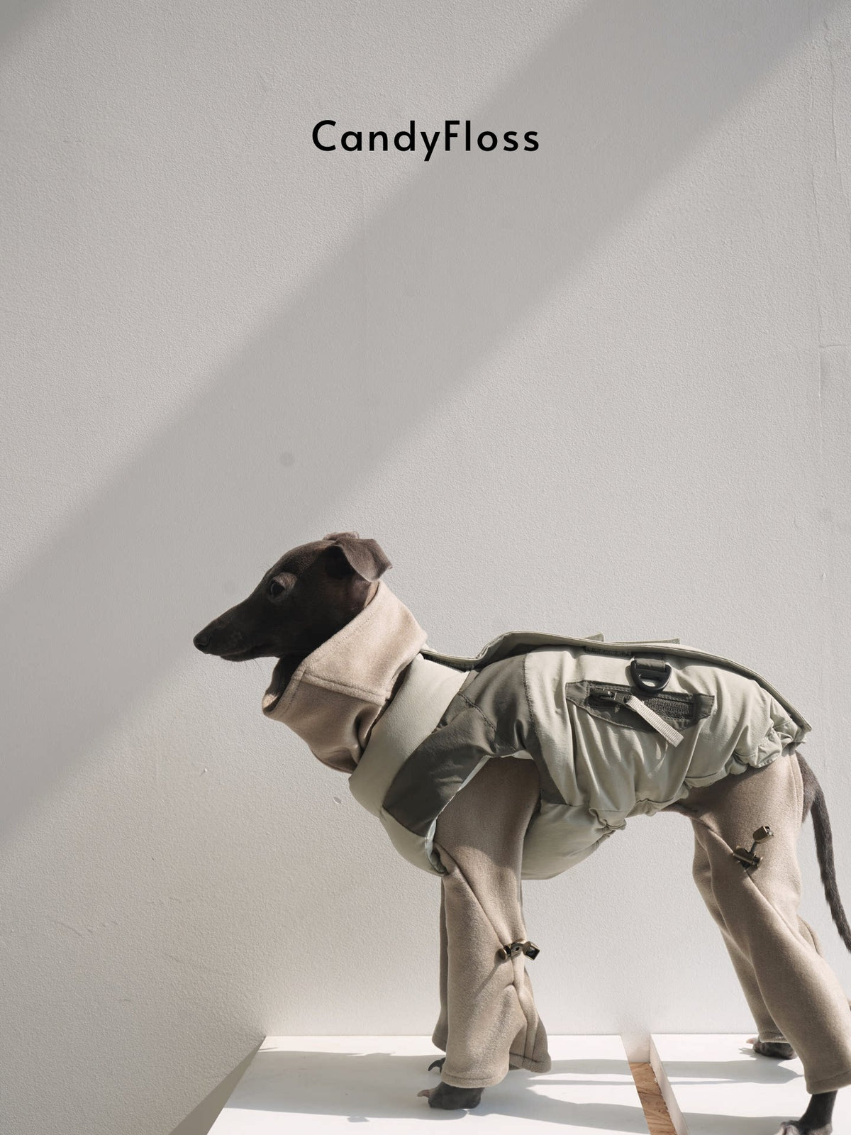 700-Fill Goose Down Dog Jacket
