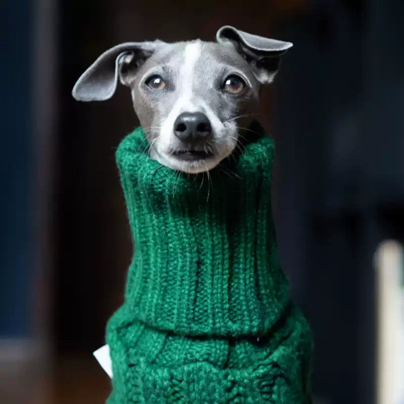 Dark Green Cable Knit Dog Sweater photo 2