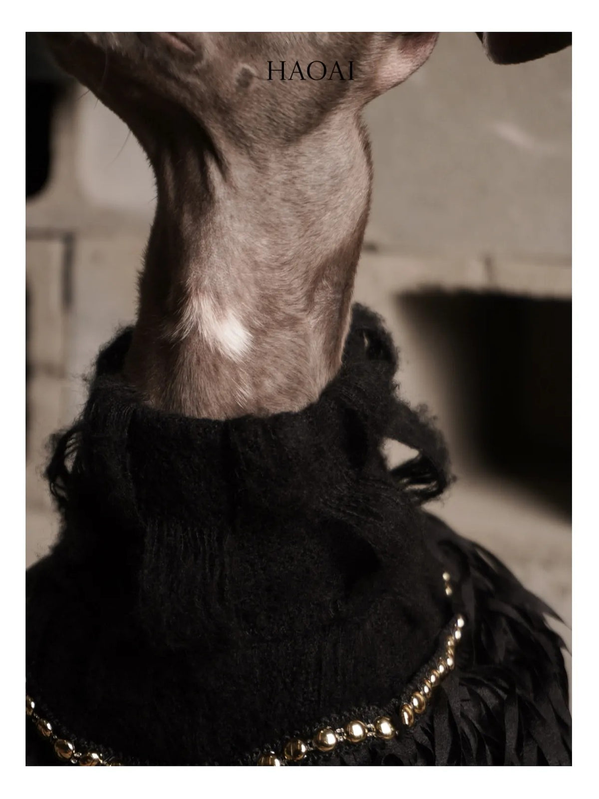 Black Mohair Look Open Knit Dog Onesie view 2