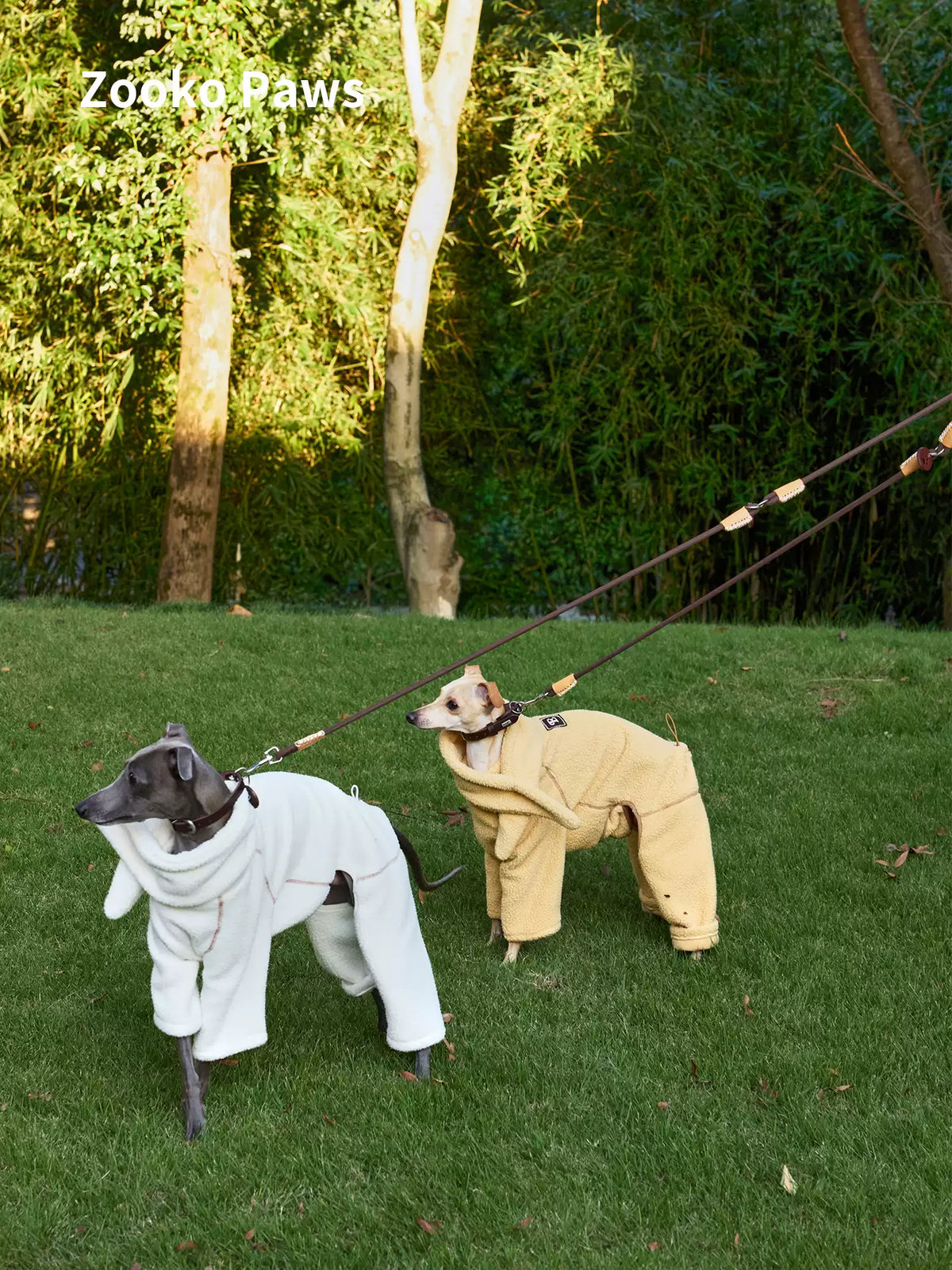 Two dogs on grass wearing braided rope collars and leashes
