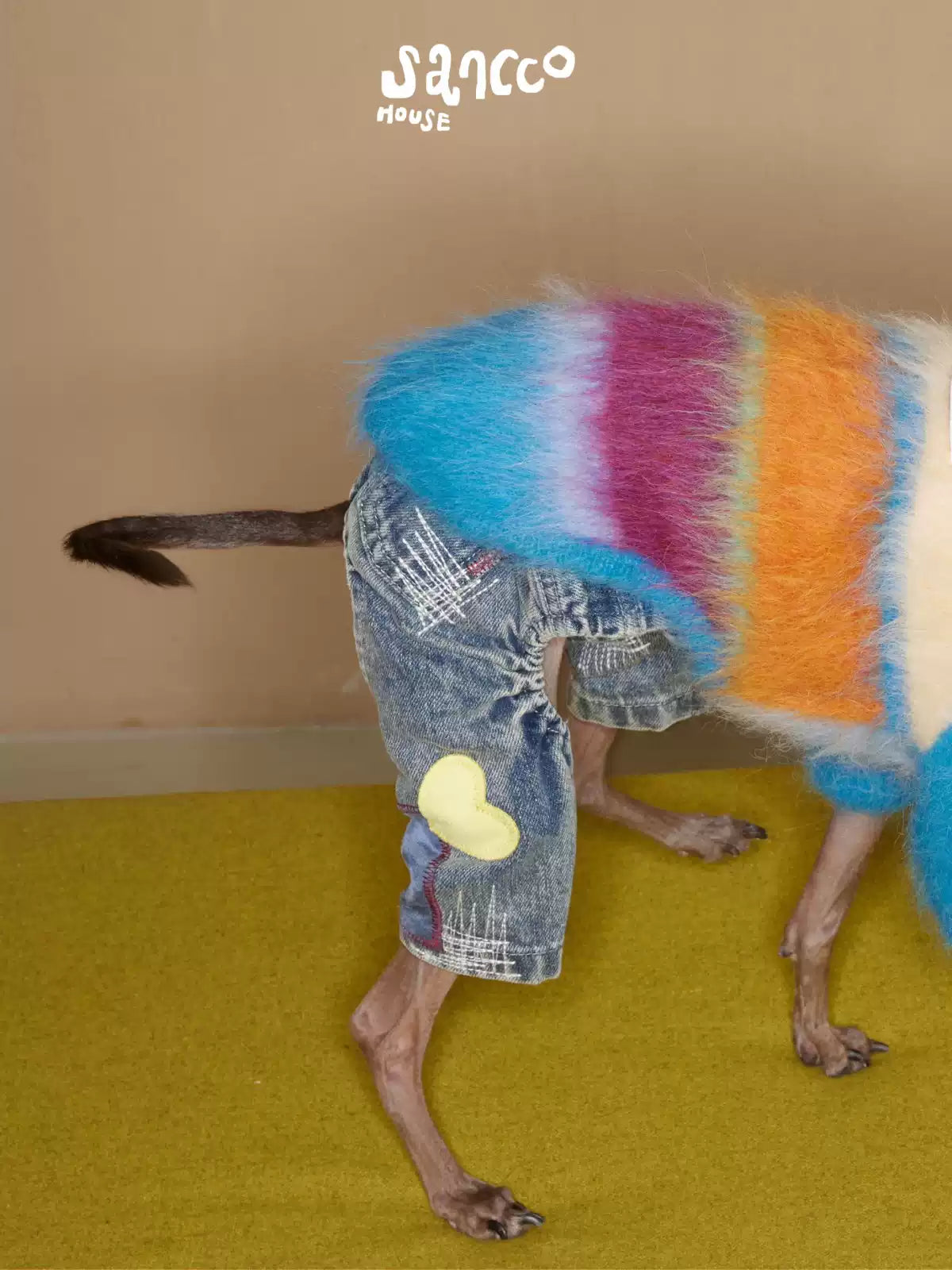 Dog in a striped alpaca sweater seen from behind