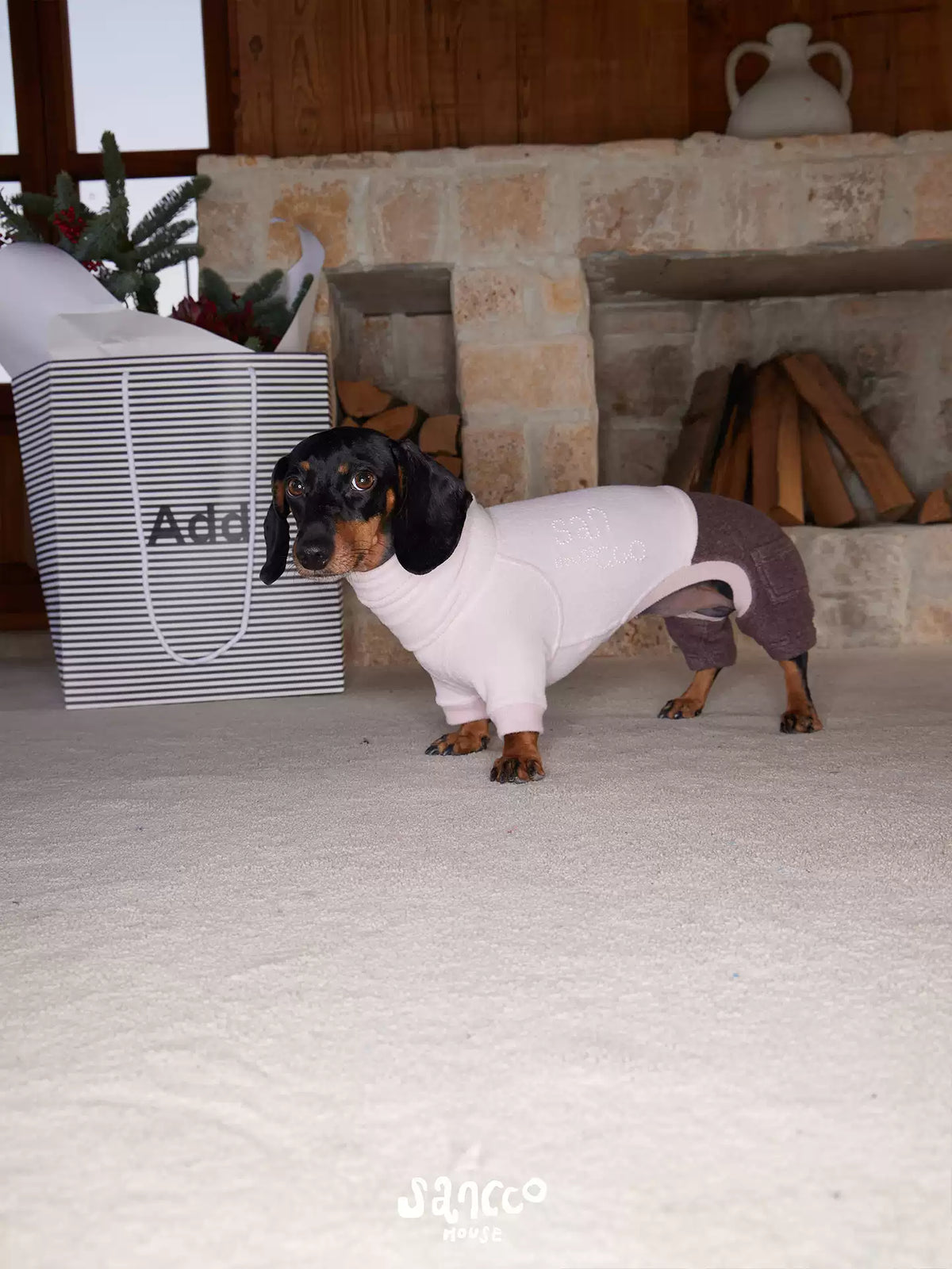 Black-and-tan dachshund on pale carpet in a pink and cocoa two-tone fleece coat, beside a striped gift bag and a stone fireplace