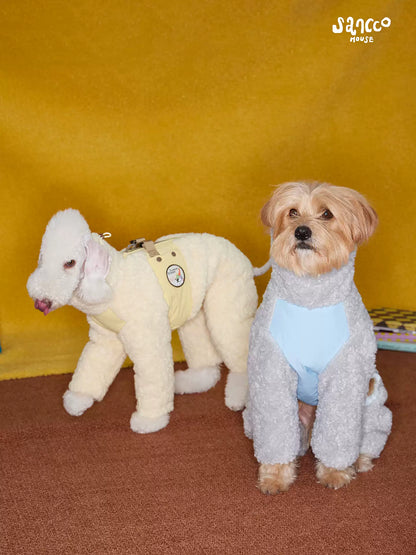 Small white curly-coated dog in the butter yellow coat beside a sandy terrier in the glacier grey version with a pale blue belly panel