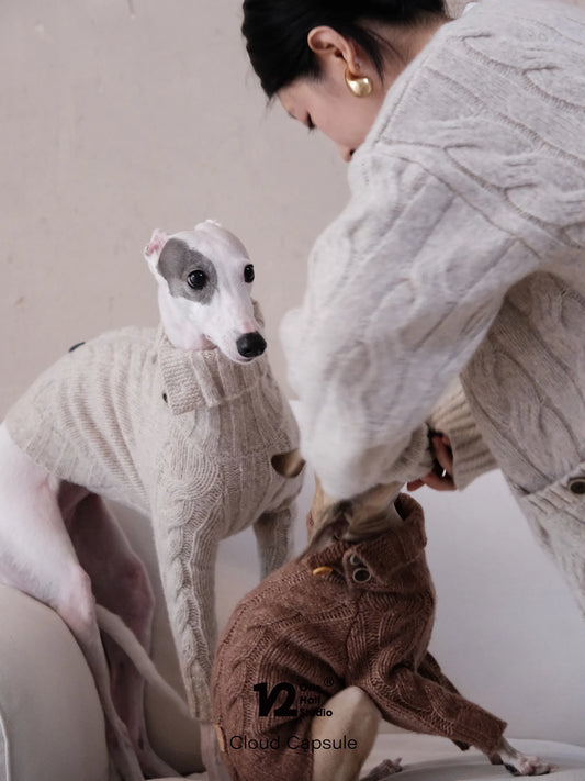 Parent adjusting a two-leg knit sweater on a whippet