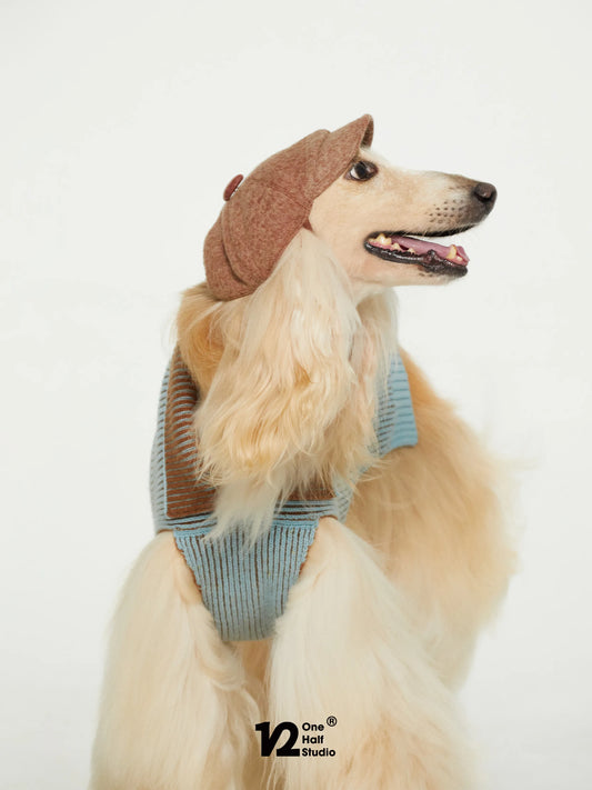 Collie in a wool newsboy cap