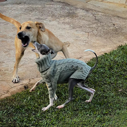 Sage Green Cable Knit Dog Sweater photo 2