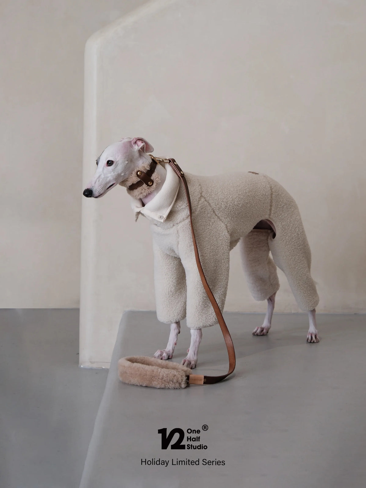 Sherpa collar with leather trim on a standing whippet
