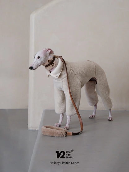 Sherpa collar with leather trim on a standing whippet