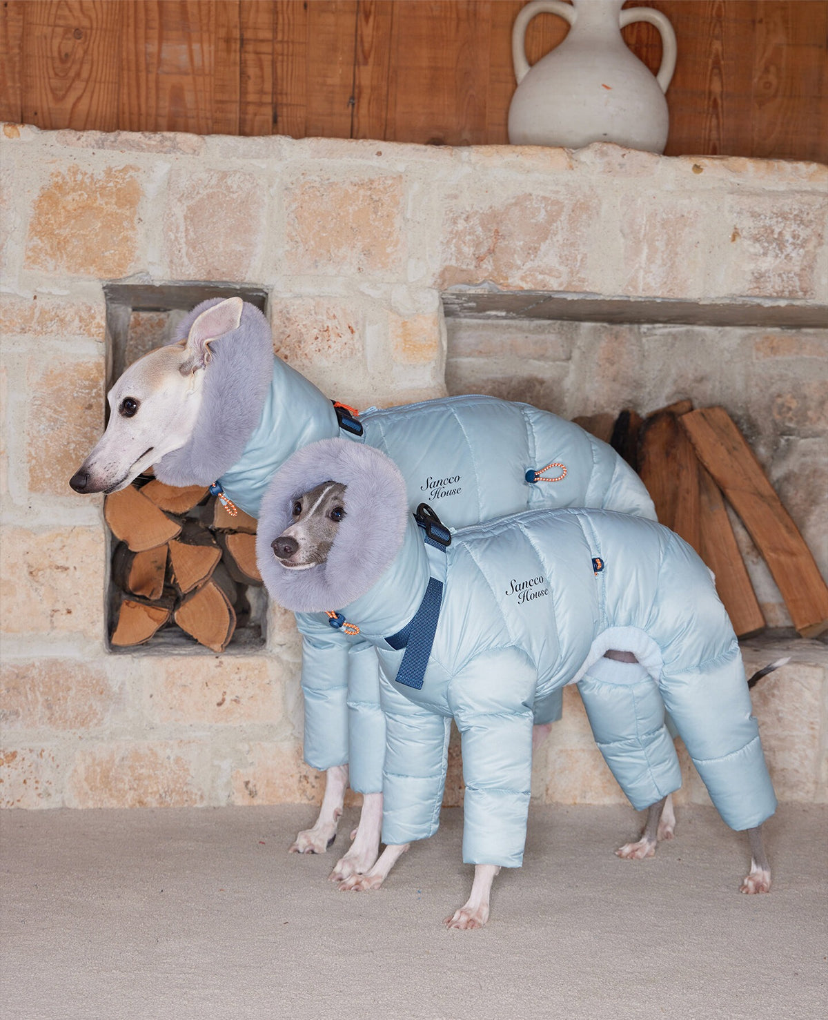 Two whippets side by side in pale blue four-leg puffer coats with plush hoods, standing on a concrete floor beside a stone fireplace
