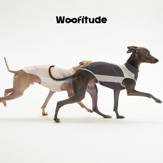 Woofitude UV-Protective Cooling Vest UPF50+