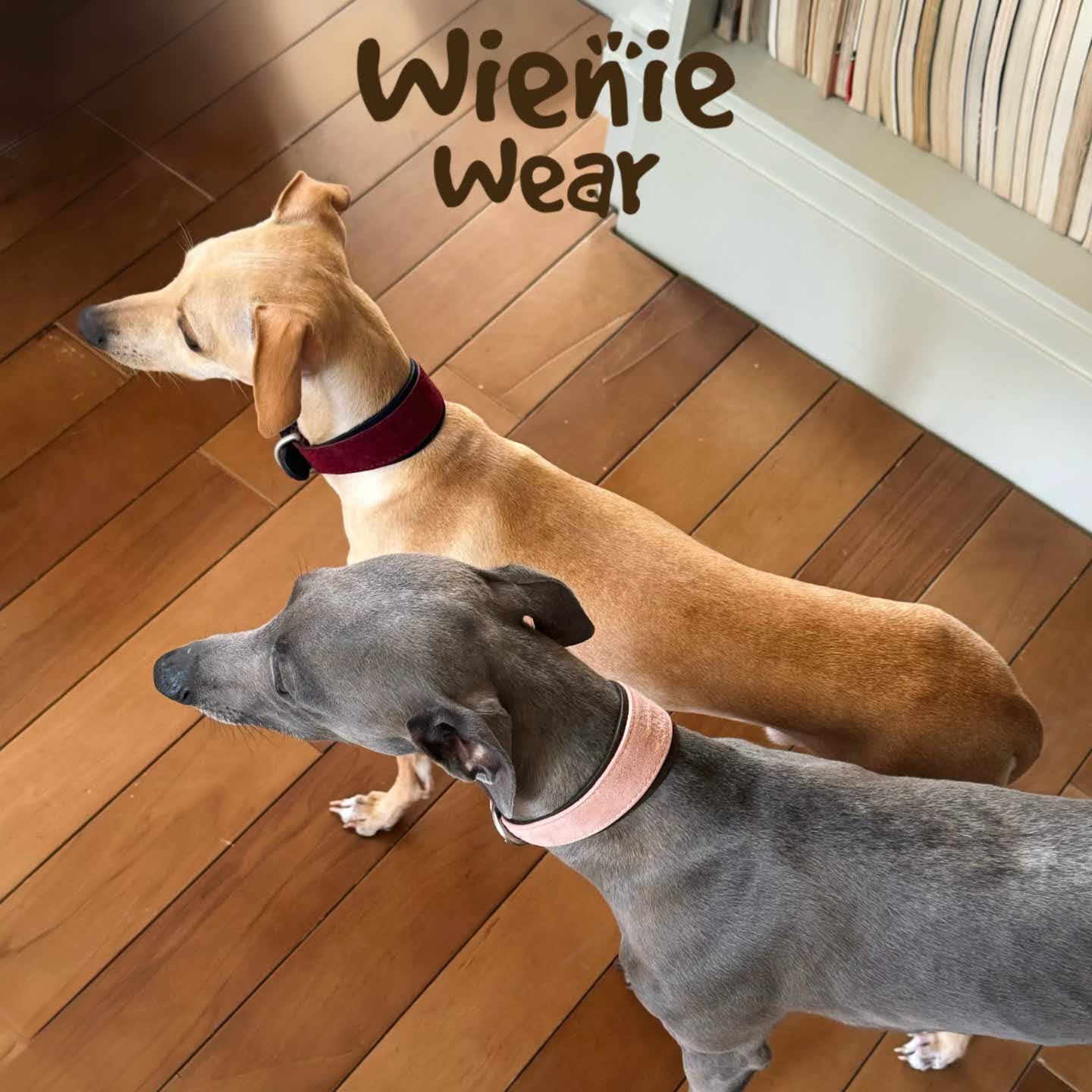 wienie wear Vintage Suede Leather Collar
