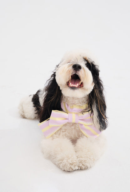 Bow Pet Bandana Collar