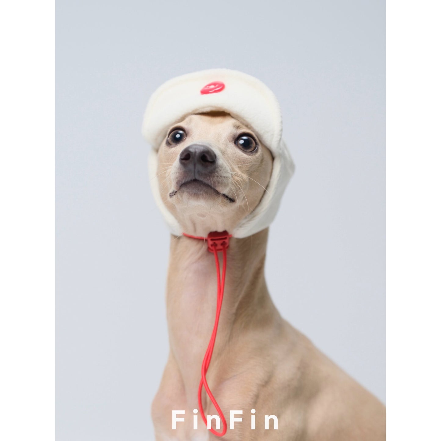 Adjustable Fleece Aviator Hat for Dogs