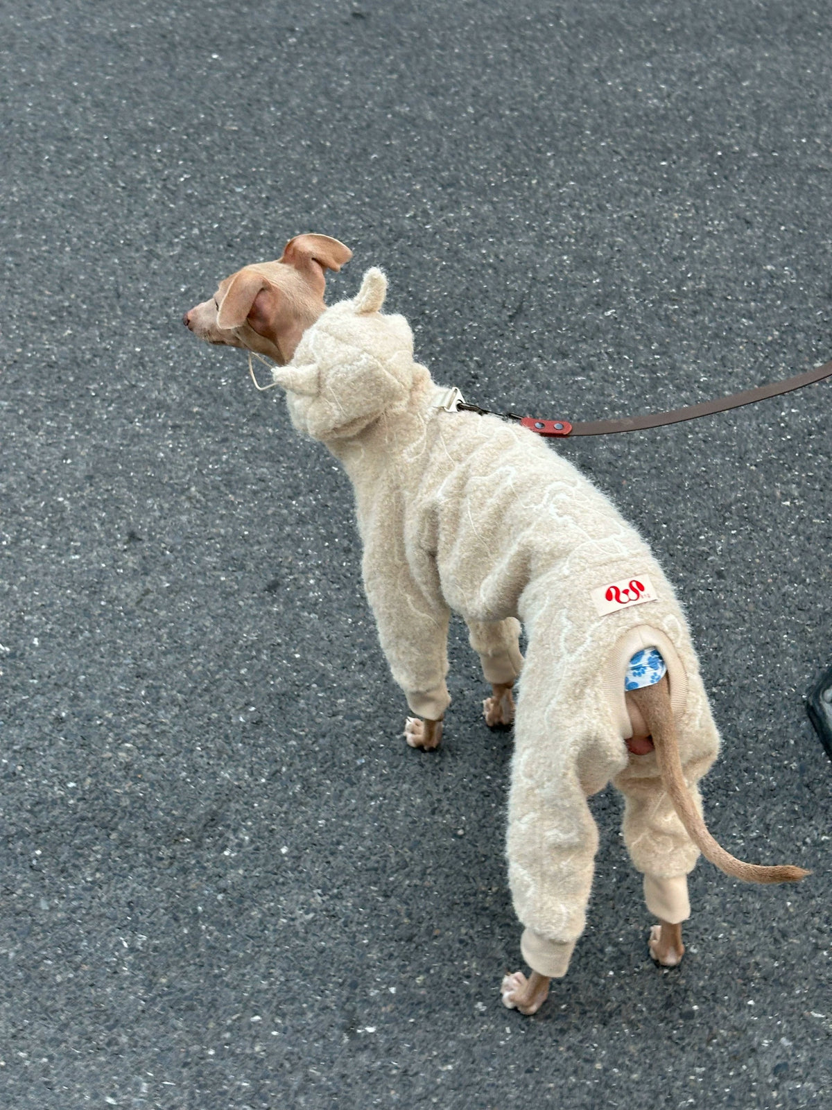 Devil Horn Embroidered Sherpa Four-Legged Dog Jumpsuit