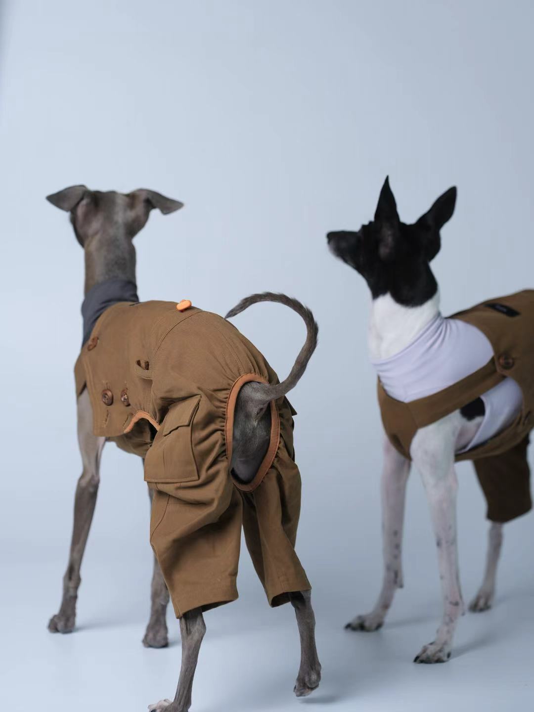 Adjustable Cotton Dog Overalls for Italian Greyhounds