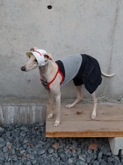 Dog Romper Outfit