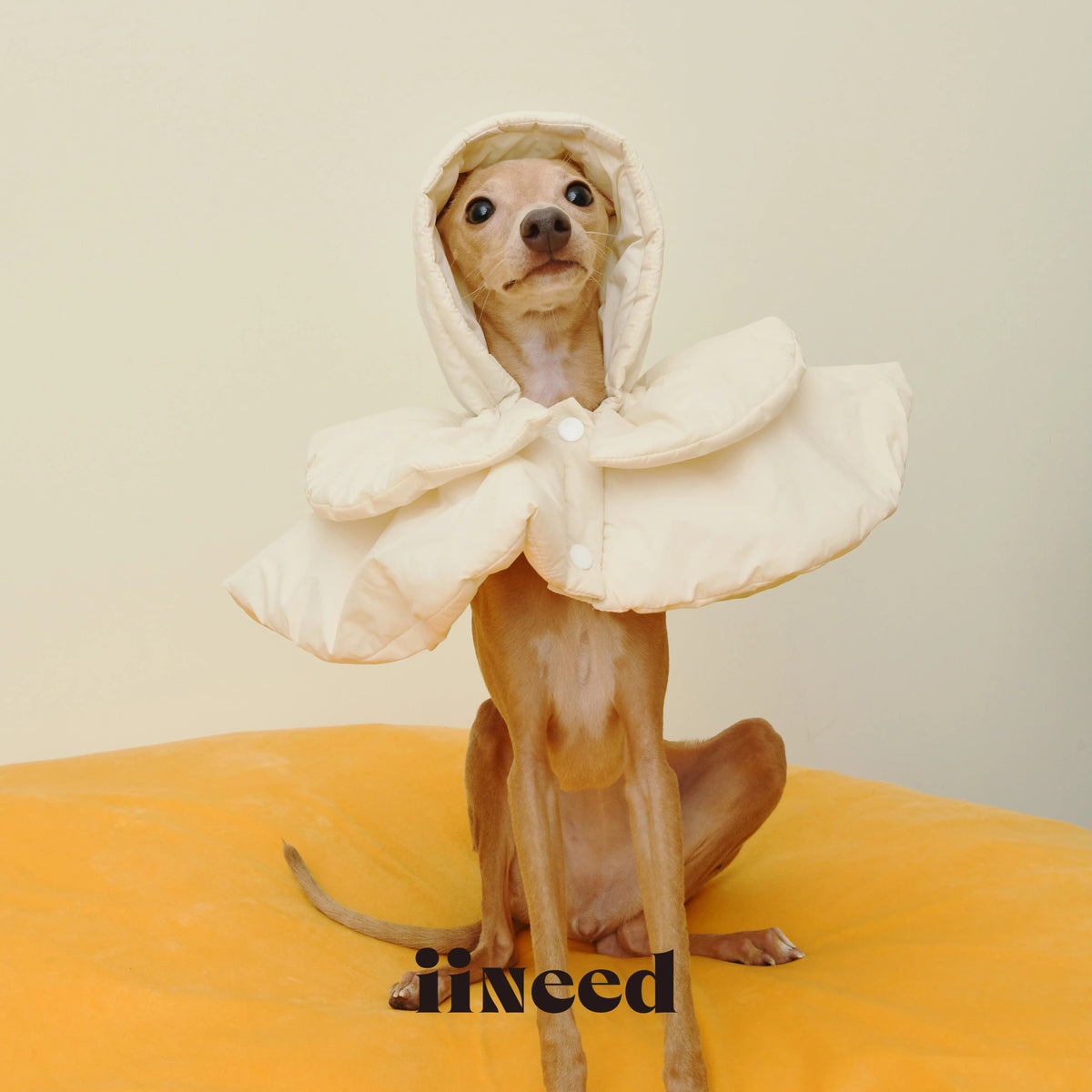 White Padded Pet Hat for Dogs Cats