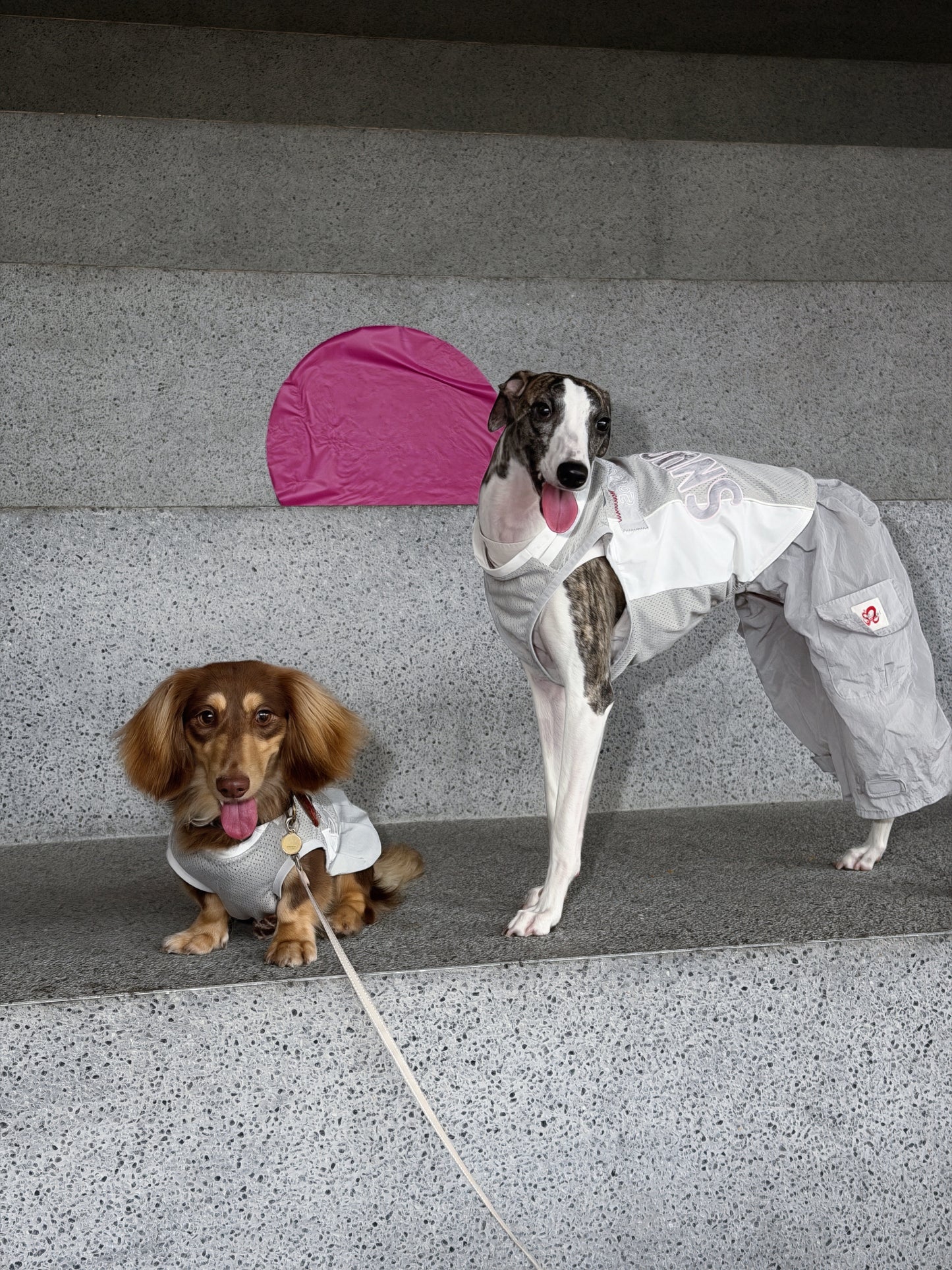 Jersey Dog Dress with Detachable Skirt