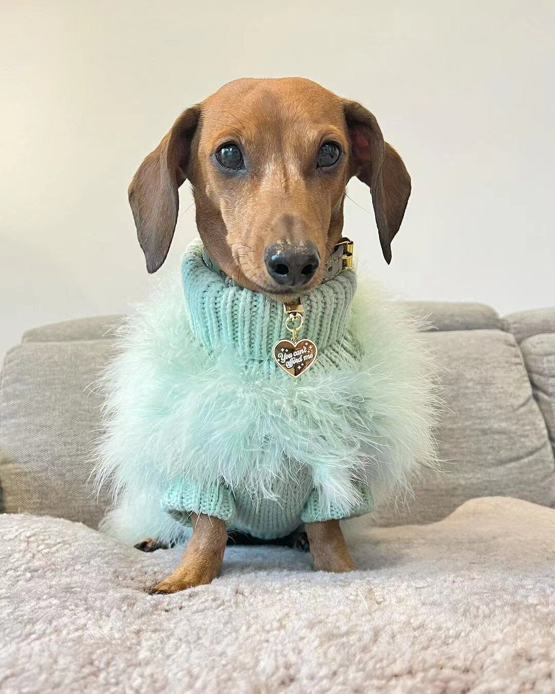 Luxury Feather Dog Sweater, Core Spun Yarn