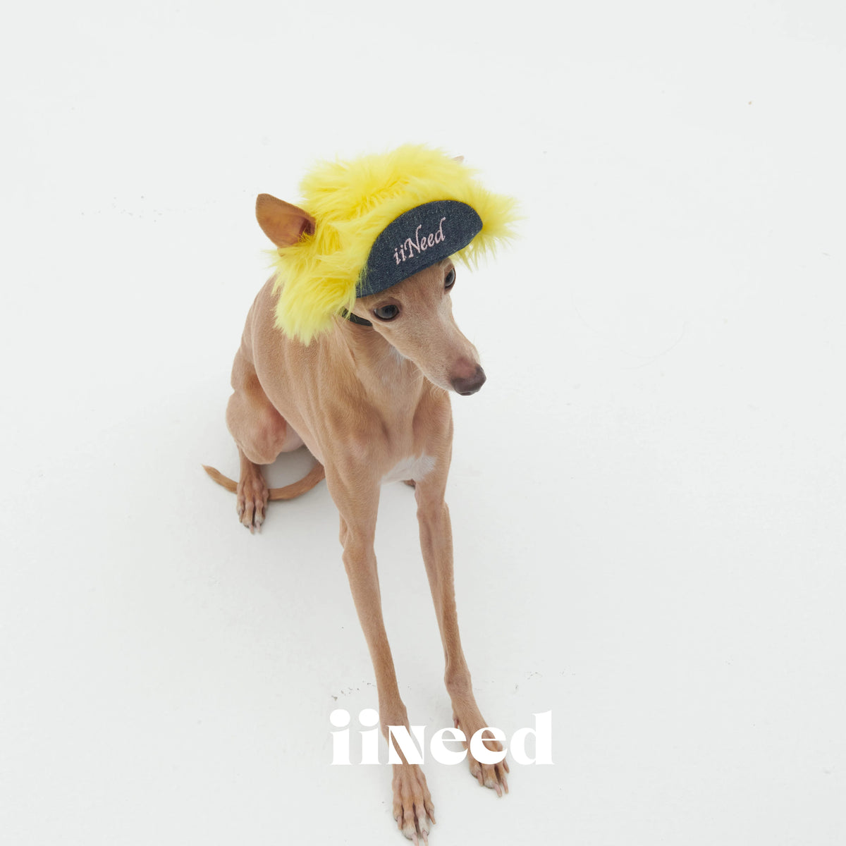 Plush Pet Hat With Buckle