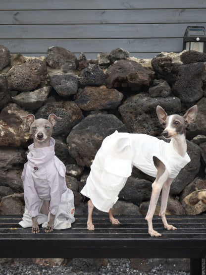 Summer Dog Cooling Shirt for Whippet