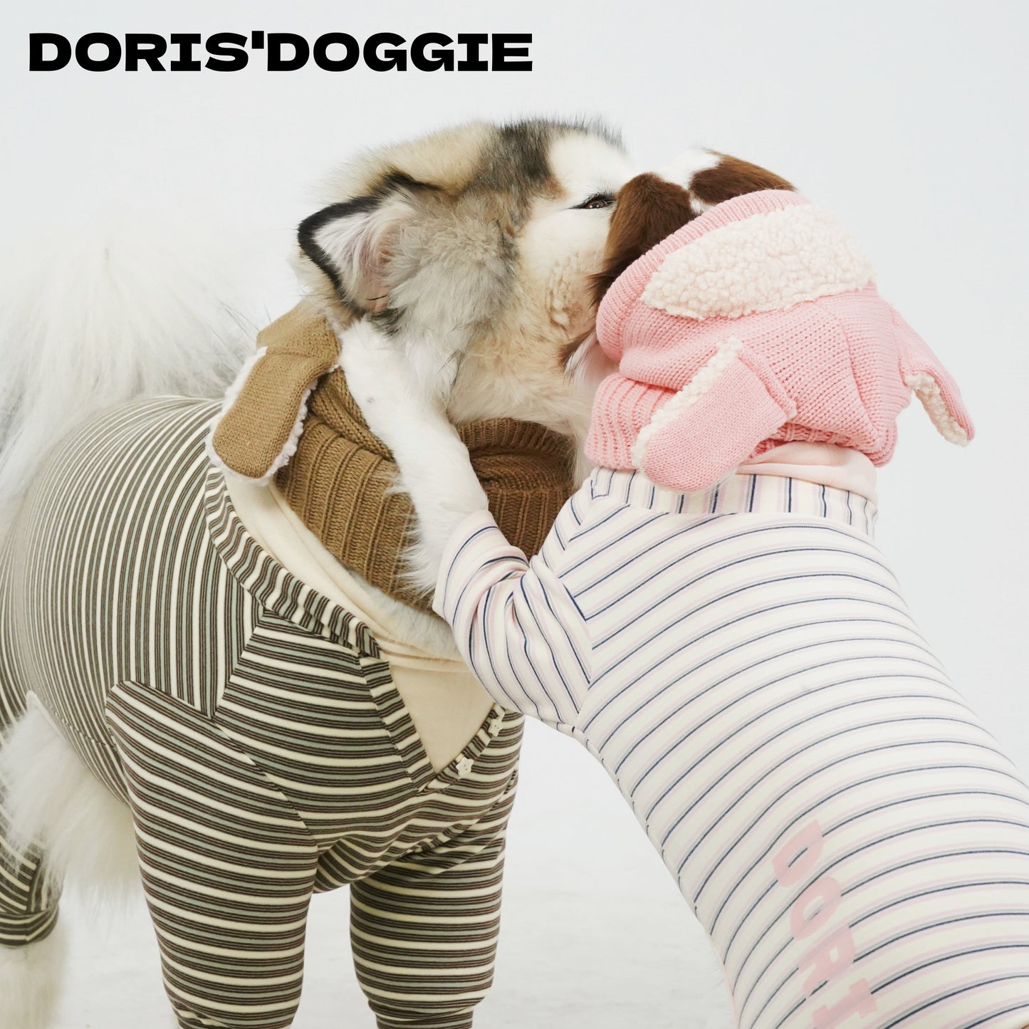 Warm Winter Dog Jumpsuit & Hat