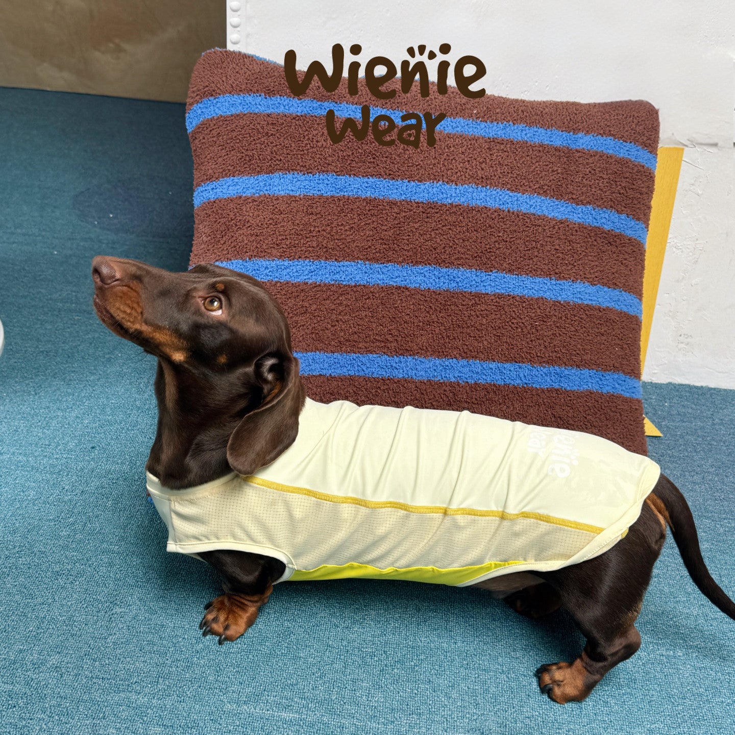 UPF50+ Cooling Dog Vest