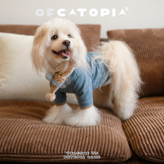 OfCATOPIA Soft Double-Collar Plaid Knit Sweater