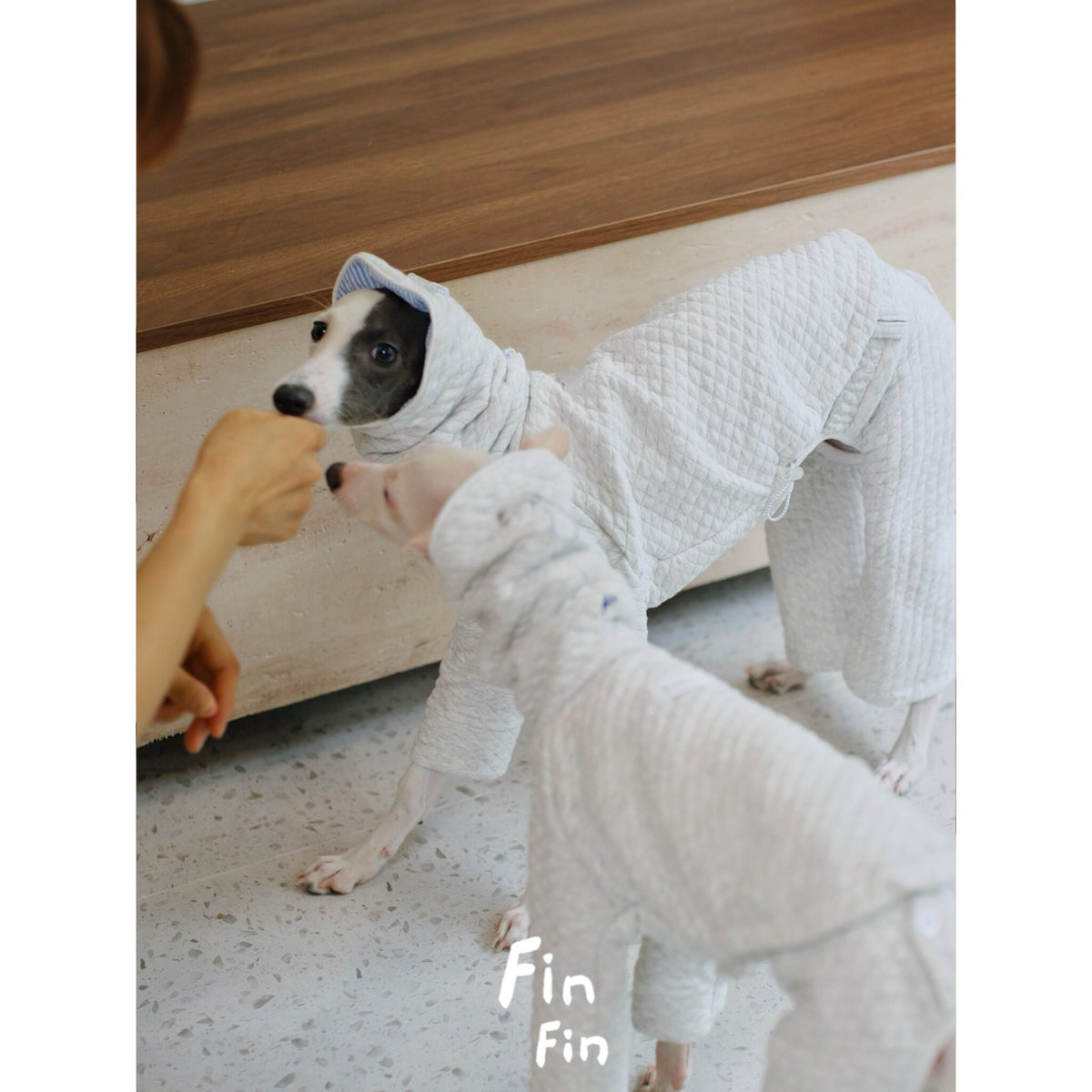 Autumn Dog Hooded Striped Spliced Sweatshirt