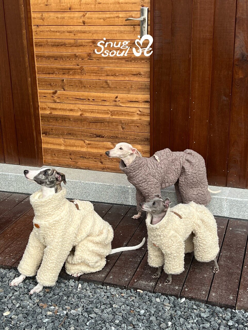 Wool-Blend Four-Leg Dog Onesie for Italian Greyhounds