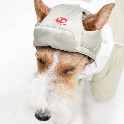 Embroidered Dog Winter Hat & Scarf Set