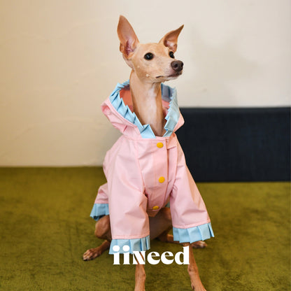 Color Block Dog Windbreaker