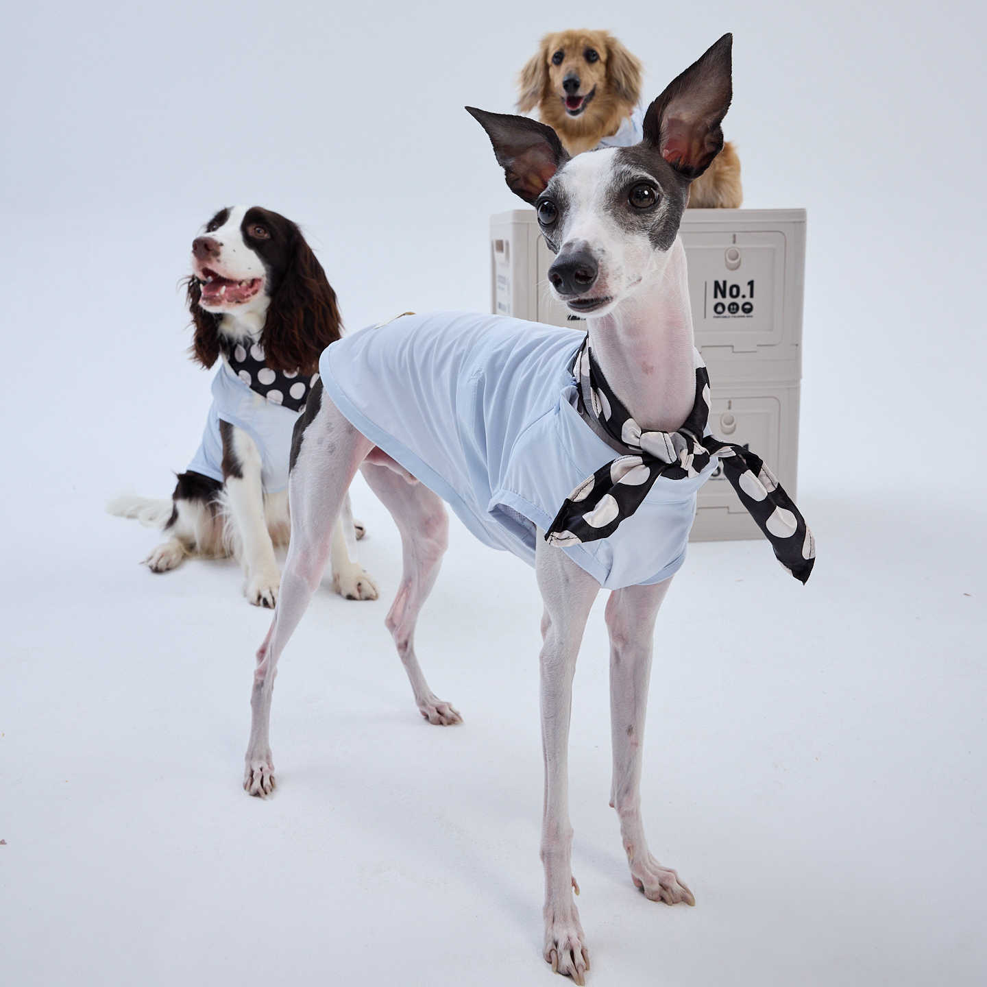 UPF 50+ Cooling Dog Vest Matching Set