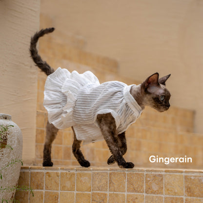 GINGERAIN French Ruffle Shirt Dress for Cats