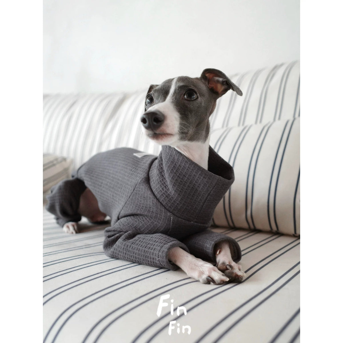 Waffle Knit Dog Four-Legged Base Layer