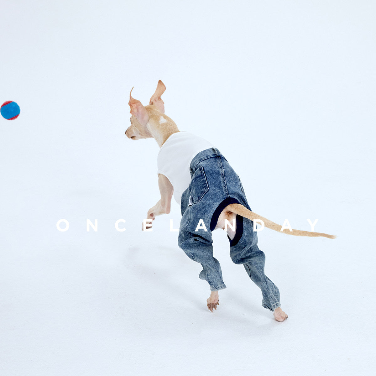 ONCELANDAY Fall Patchwork Washed Jeans for Whippets