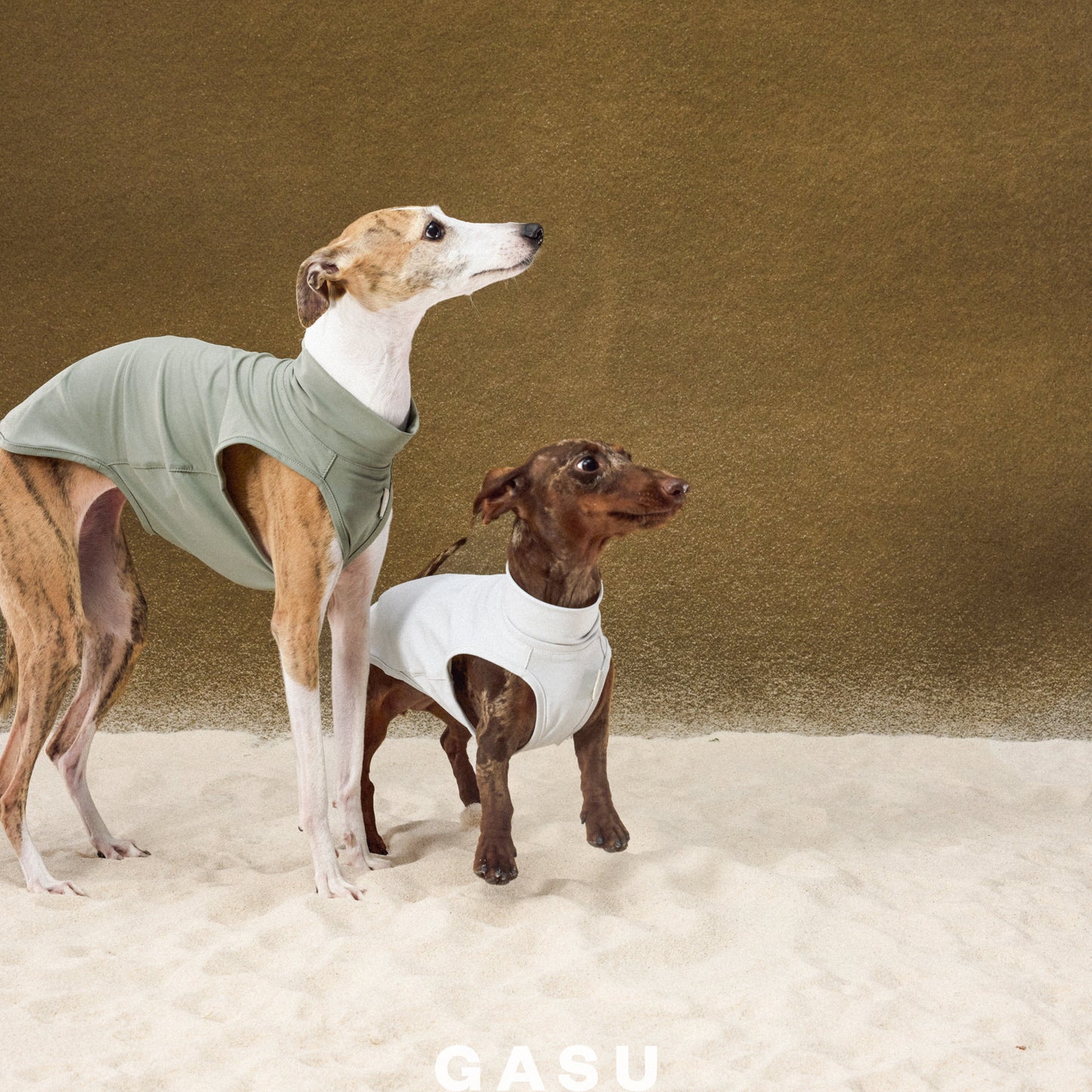 UPF1000+ Cooling Dog Sun Vest