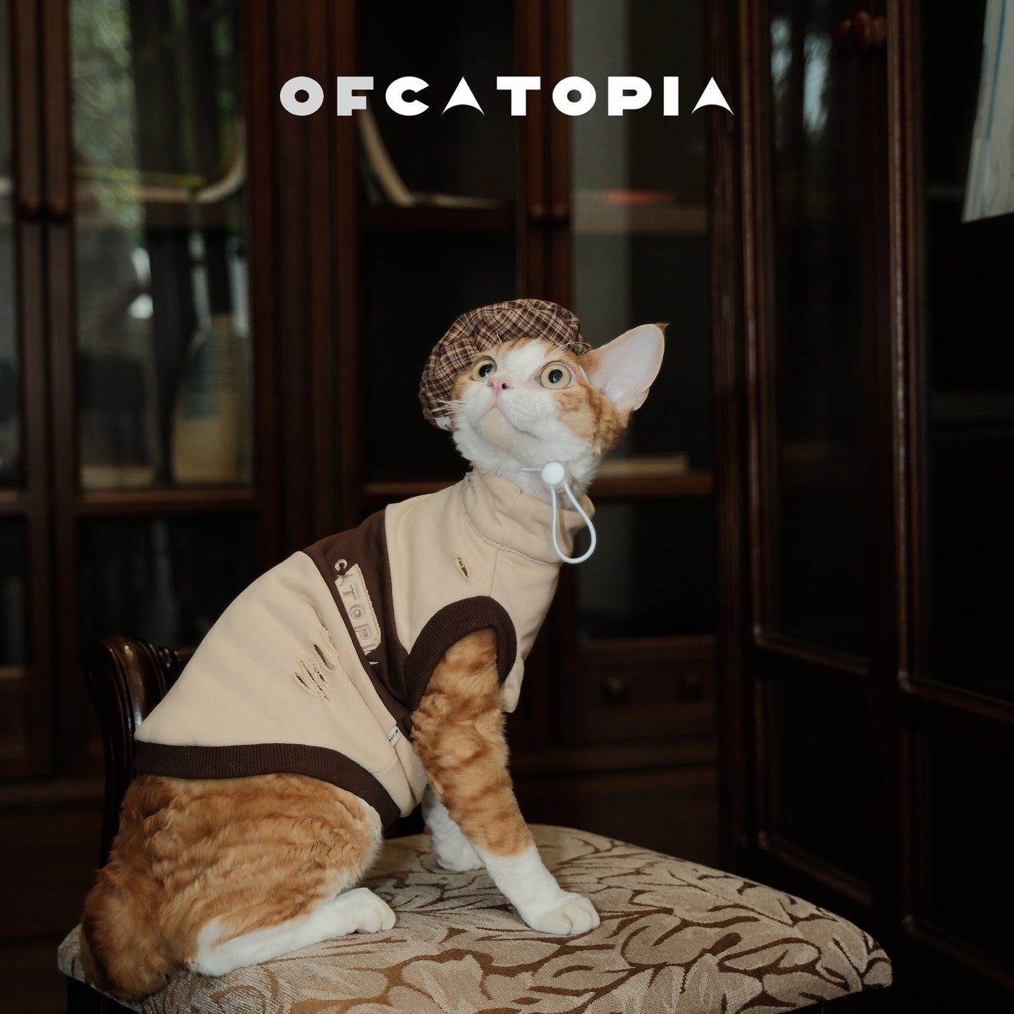 OfCatopia Destroyed Sleeveless Vest for Pets