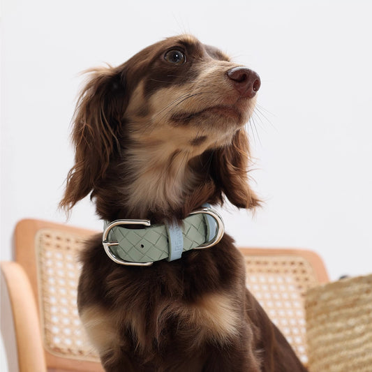 Braided PU Pet Collar for Dog & Cat with Scarf Neck Protector