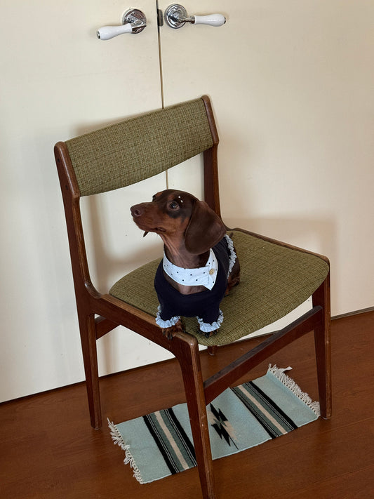 POXFFEE Polka Dot Dog Bandana