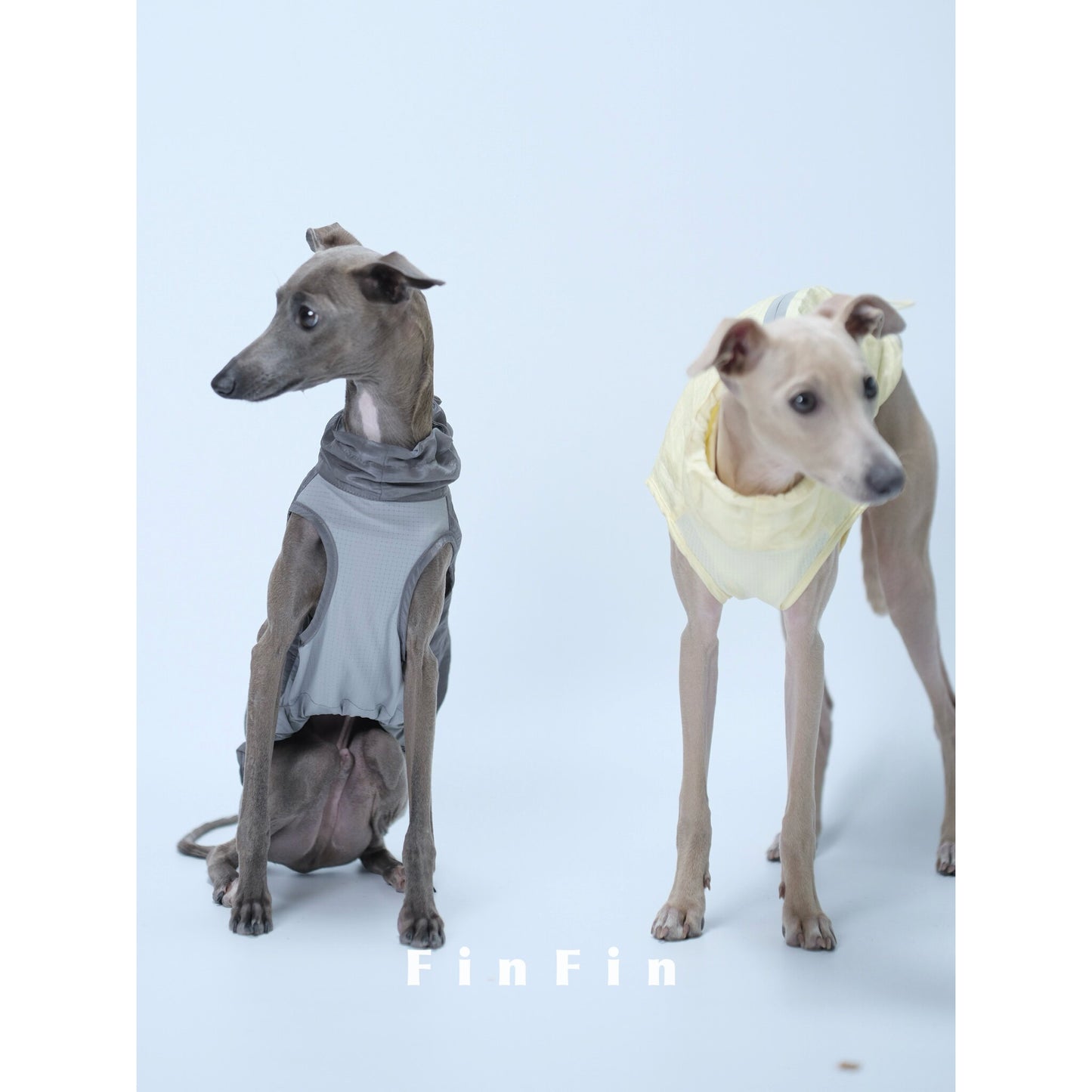 Urban Utility Dog Vest