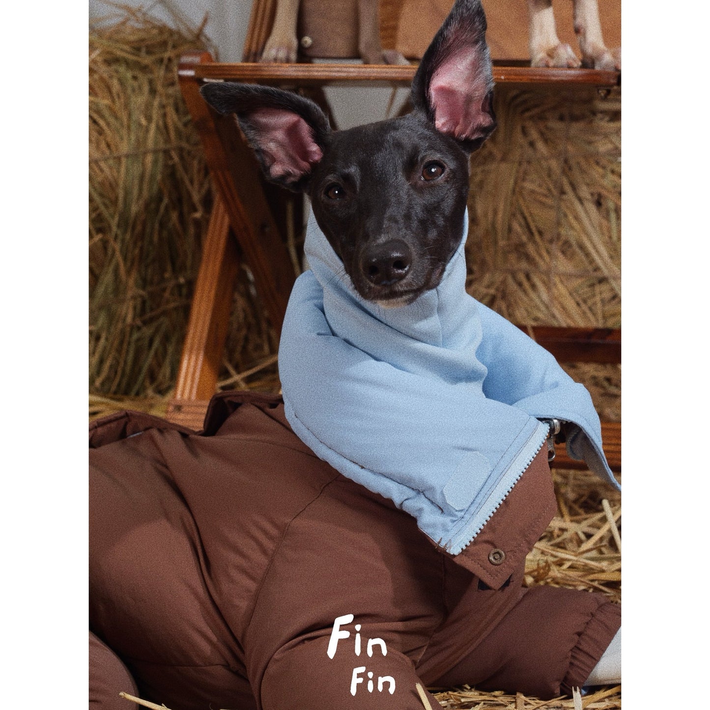 FinFin Reversible Pet Down Jacket